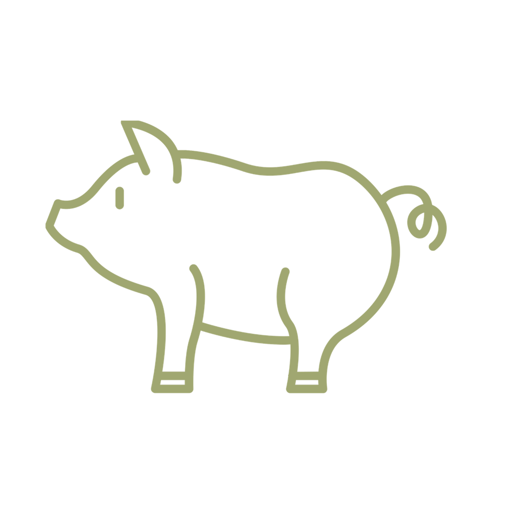 Côte porc fermier marinee Bio A/couenne - 600 g