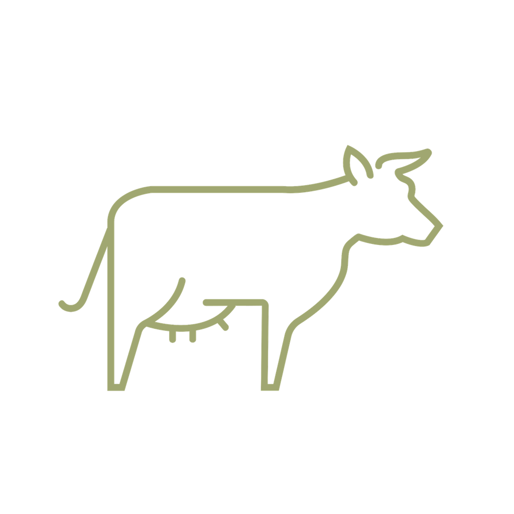 [BSTEBŒU-LSF-300] Steak Bœuf Limousin Bio 1Er Choix - 300 g